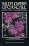 Wildflowers of Churchill: And the Hudson Bay Region