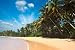 Idyllic Beach. Sri Lanka - 48"W x 32"H - Peel and Stick Wall Decal by Wallmonkeys