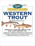 Western Trout Identification Pocket Guide (The Freshwater Angler)