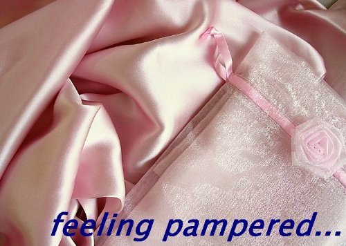 Gorgeous Pink Luxury 100% Silk Pillowcase for Beauty Sleep Queen/std