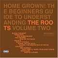 Home Grown! The Beginner's Guide to Understanding the Roots, Vol. 2