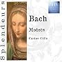 Splendeurs: Motets