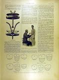 1898 の Phonendoscope 医学のビアンキの胃医者 ビアンキ