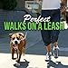 Cujo Control Best Dog Training Collar With Remote-16 Levels Shock & Vibration-Fully Adjustable Electric E Collar for Large, Medium, and Small Dogs-Wireless Waterproof Anti Bark Collar-100% Guarantee!
