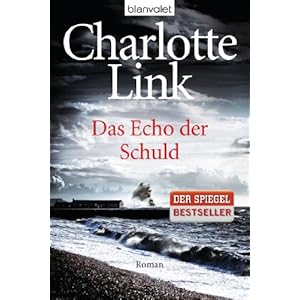 Das Echo der Schuld: Roman