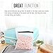 iRainy Set of 5 Mesh laundry Bags -Super Premium Quality Bra lingerie Protection Washing Drying Bag with Rust Proof Flow Zipper