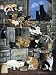 Alley Cats 1000 Pcs