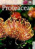 Proteaceae.