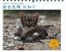 �J�����_�[2012&nbsp;�T�߂���&nbsp;�⍇�����~�˂�&nbsp;(Yama-Kei&nbsp;Calendar2012)