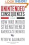 Unintended Consequences: How War in Iraq Strengthened America's Enemies
