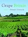 Grape Britain: A Tour of Britain's Vineyards
