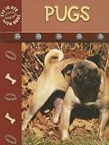 Cover for 9781600442421