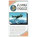 Flying Tigers: Documentary [VHS]