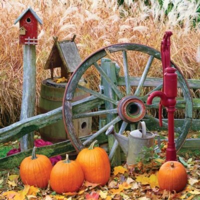 Springbok Pumpkin Harvest 500 Piece Jigsaw Puzzle