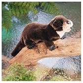 カワウソ ハンドパペット