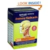 Anatomy Flashcards