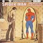 Spider-man: Rock Reflections of a Superhero