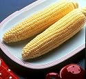 Early Sunglow Sweet Corn 300 Seeds