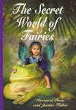 Secret World of Fairies
