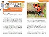 子供に教えたいムシの探し方・観察のし方 昆虫たちを観察し、生き方を学べば、きっと人生が変わる! (サイエンス・アイ新書) 画像