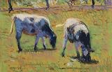 Two Cows