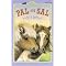 Horse Books for the Younger Set