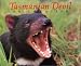 Tasmanian Devil: On Location (Darling, Kathy. on Location.)