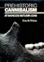 Prehistoric Cannibalism at Mancos 5Mtumr-2346