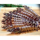 沖縄県産（くるまえび）活き車海老３００ｇ毎週木曜日発送　同梱不可