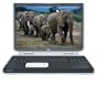 HP Pavilion zd7010us Laptop (2.66-GHz Pentium 4, 512 MB RAM, 60 GB Hard Drive, DVD/CD-RW Drive)