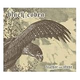 Feather And Stone [Vinyl]
