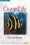 OceanLife Volume 5 : The Caribbean