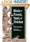 Birds of Forest, Yard, and Thicket