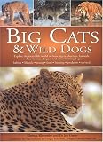 Books : Big Cats and Wild Dogs: Explore the Incredible World and Lions, Tigers, Cheetahs, Leopards, Wolves, Hyenas, Dingos and Other Hunting Dogs