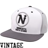 Mitchell & Ness Minnesota North Stars Greytones Snapback Adjustable Hat