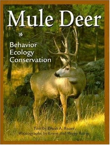Mule Deer