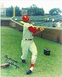 Autographed/Hand Signed Photo Ted Savage Cardinals