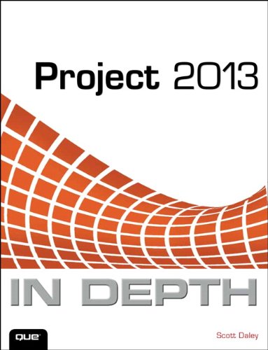 project 2013 in depth