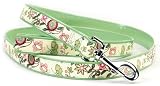 Spring Fling Dog Leash, 5/8 Wide x 5' Long
