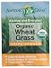Amazing Grass Organic Wheat Grass Powder, 15-count,  Boxes