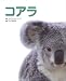 �Ȃ�ł���ȂɌ����Ă��܂����񂾂낤�ˁB