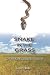 Snake in the Grass: An Everglades Invasion