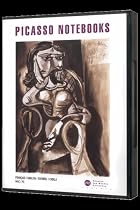 The Picasso Notebooks