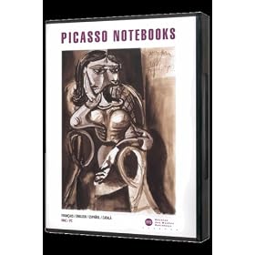 The Picasso Notebooks