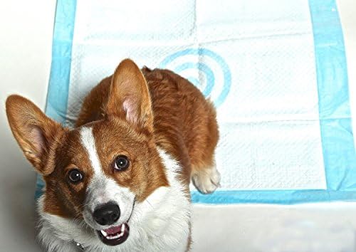 Puppy Training Pads for Large Medium &amp; Small Dogs, 10 Pack 22 X 22 Inch Wee Wee Puppy Training Pads Fit Training Pad Holders. Best Puppy Pee Pads.