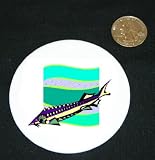 3 button / pin printed with animals, beluga, ocean, fish, tropical