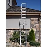 Telesteps 1600 250-Pound Duty Rating Aluminum Telescoping Extension Ladder, 12-1/2-Foot