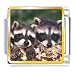 Two Raccoons Photo Italian Charm Bracelet