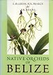Native Orchids of Belize