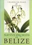 Native Orchids of Belize